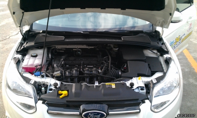 2013 THE ALL-NEW FOCUS 24小時免費開回家-武嶺一日遊