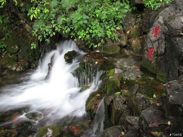 Focus 花蓮試駕輕旅行