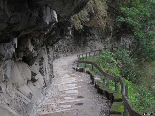 Focus 花蓮試駕輕旅行