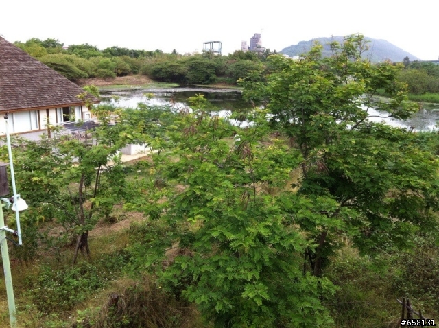 【城市漫遊】凱旋自行車天橋 & 翠華自行車天橋