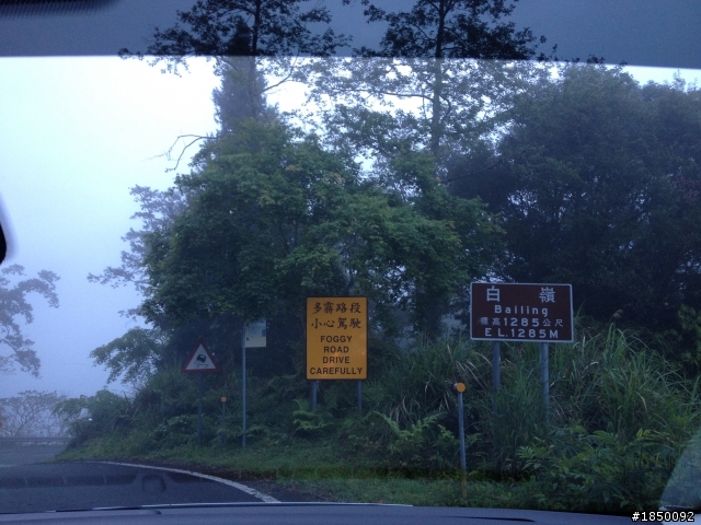 2013 THE ALL-NEW FOCUS 24小時免費開回家(宜蘭太平山之旅)