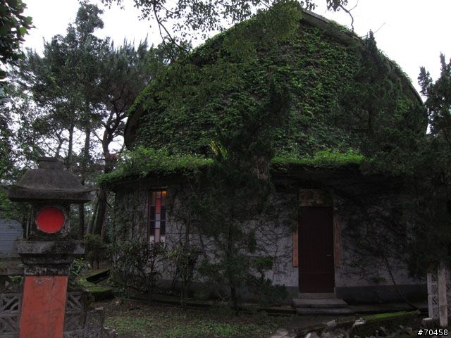 Focus 花蓮試駕輕旅行