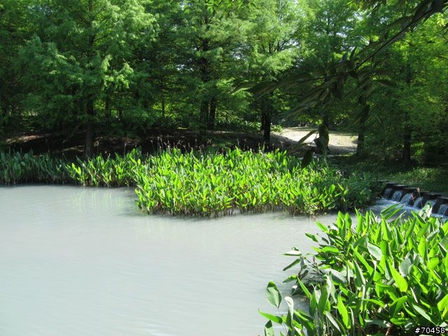 Focus 花蓮試駕輕旅行