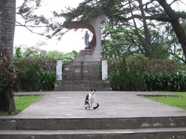 Focus 花蓮試駕輕旅行