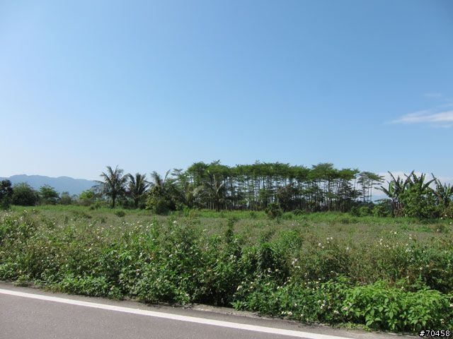 Focus 花蓮試駕輕旅行