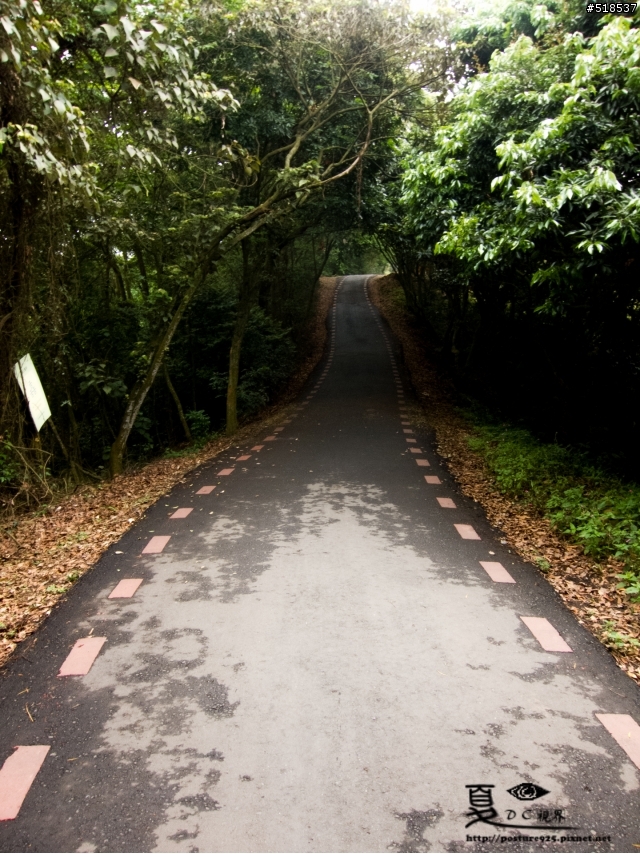 五月雪.彰化.藤山步道