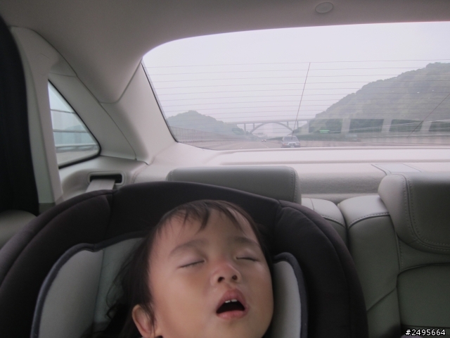 2013 THE ALL-NEW FOCUS 24小時免費開回家-【 小媽咪也能輕鬆帶小公主出遊