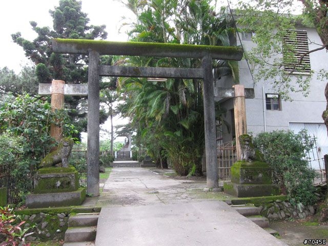 Focus 花蓮試駕輕旅行