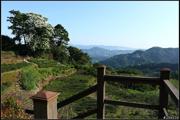 2013.04.29【單車遊記】《貓空&猴山岳》山林桐樂會