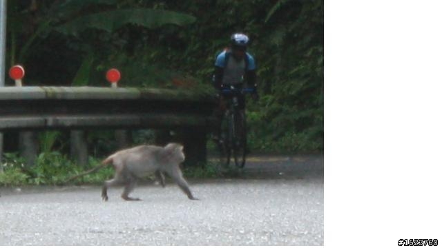 肉腳哥哥升級賽亞人挑戰2013鐵騎探索太平山