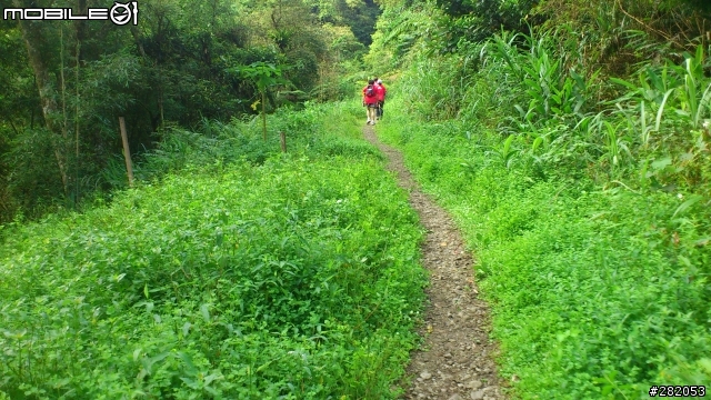 "Salomon越野路跑賽" 後感 分享