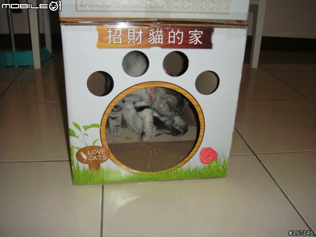 我來起厝,招財貓住新厝!
