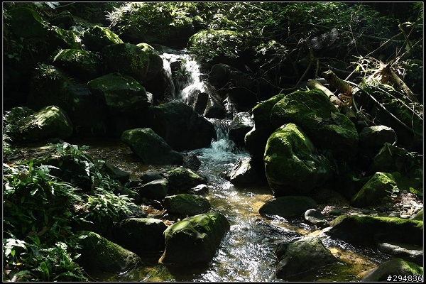 2013.04.29【單車遊記】《貓空&猴山岳》山林桐樂會