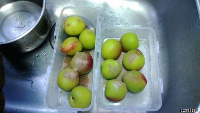 自製梅粉醃桃子 新增現切小桃子