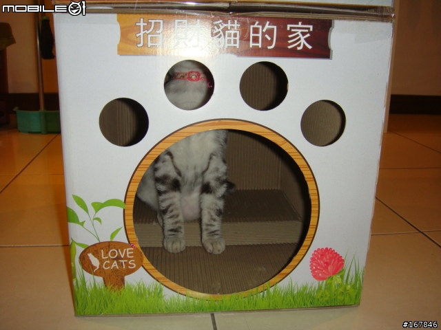 我來起厝,招財貓住新厝!