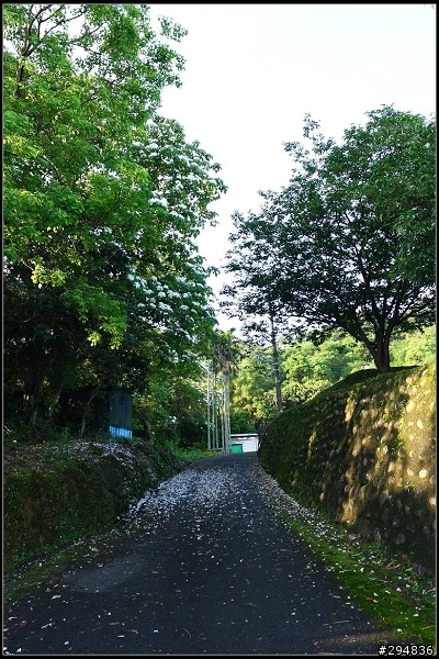 2013.04.29【單車遊記】《貓空&猴山岳》山林桐樂會