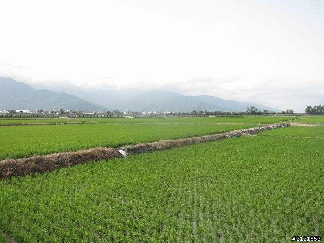 Day4 & Day5 離職了,就去環島吧! 4/10 ~4/18