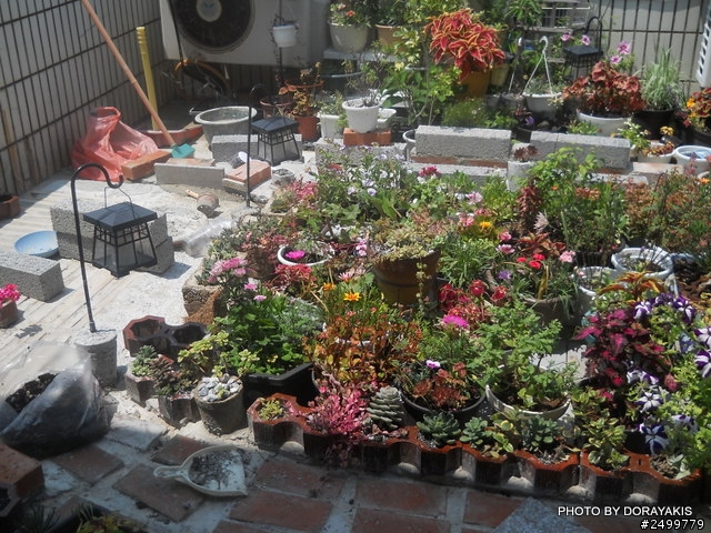 學生的花園亂亂搞DIY中~~