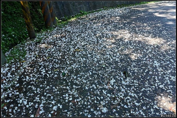 2013.04.29【單車遊記】《貓空&猴山岳》山林桐樂會