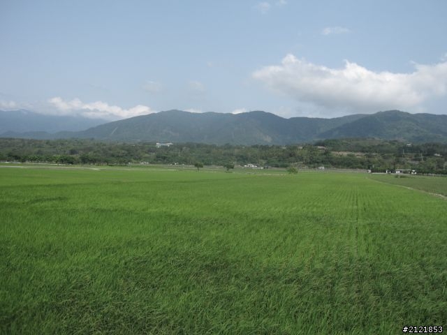 Day4 & Day5 離職了,就去環島吧! 4/10 ~4/18