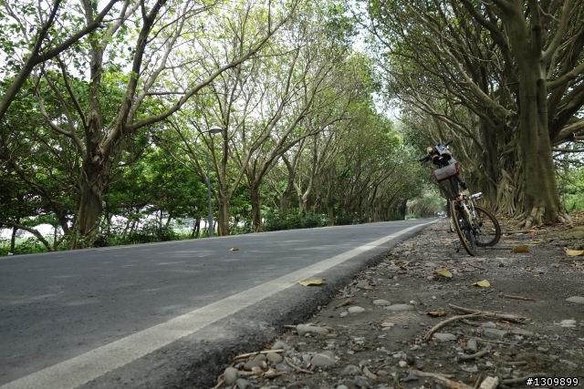 前進台78快速道路,五月濁水與母親河有約