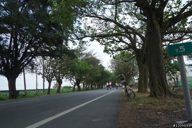 前進台78快速道路,五月濁水與母親河有約