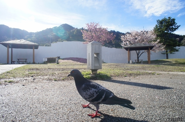 日本高速公路機旅