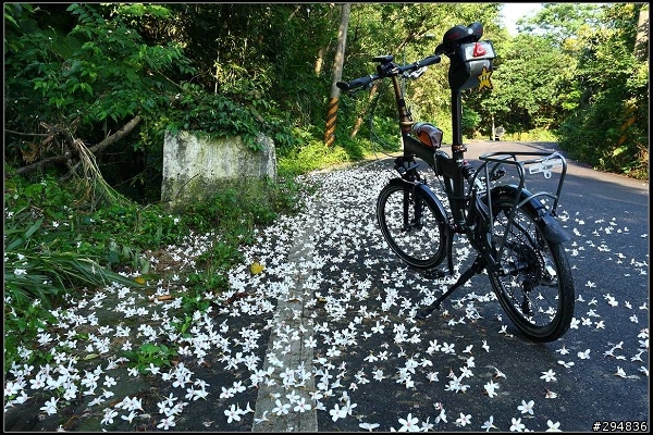 2013.04.29【單車遊記】《貓空&猴山岳》山林桐樂會