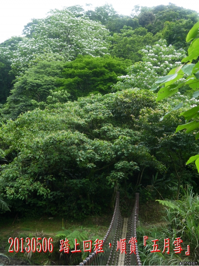 20130506 三貂嶺瀑布群之旅