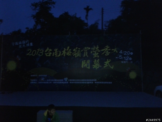 focus體驗試乘發表文