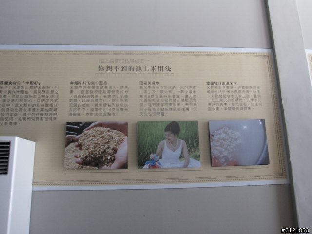 Day4 & Day5 離職了,就去環島吧! 4/10 ~4/18