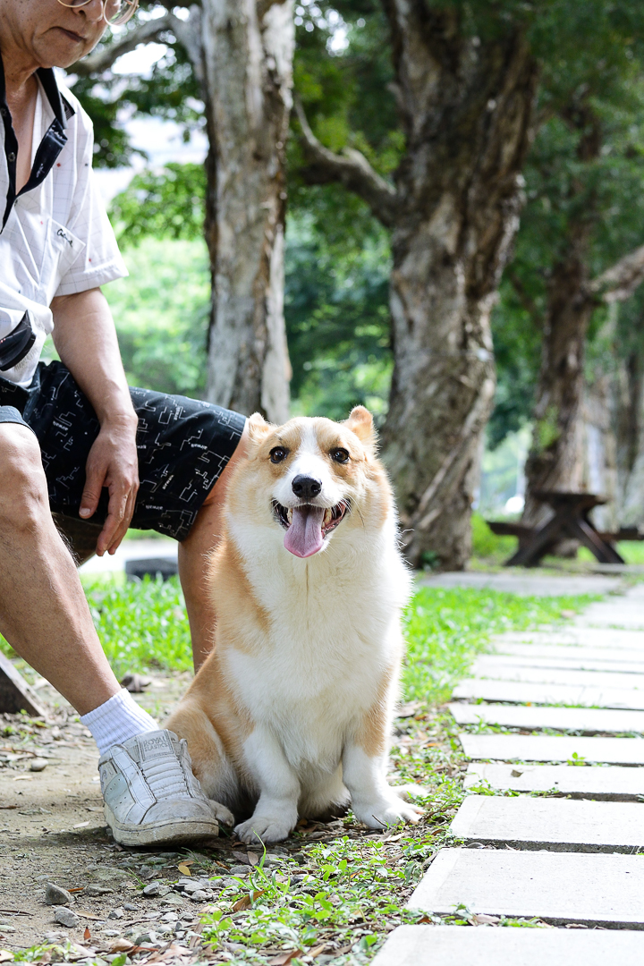 睜開大眼看世界 1 Nikkor 32mm f/1.2