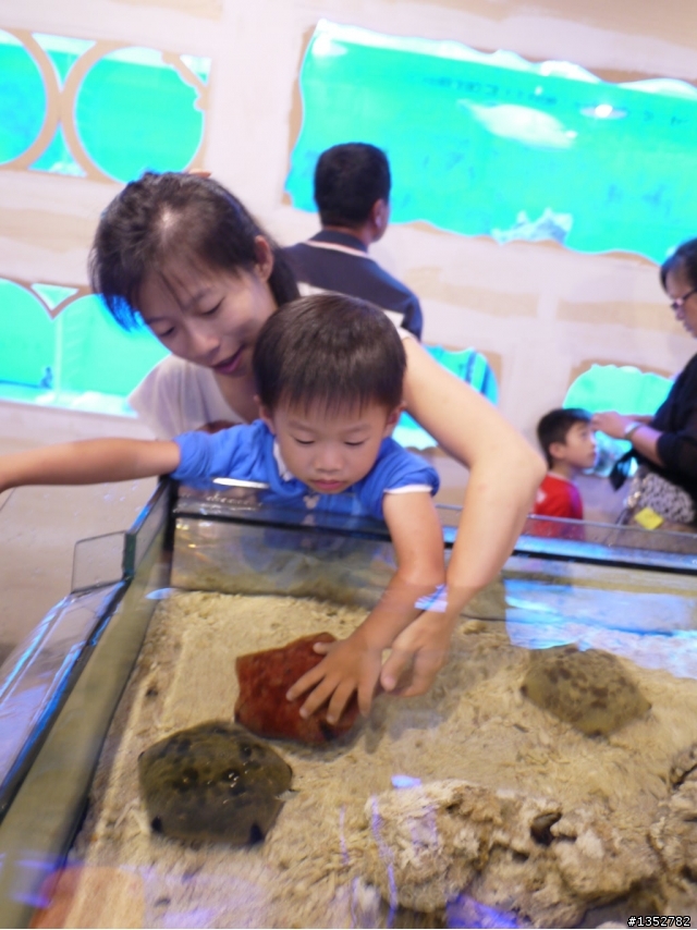 2013.06.16~17葛葛&莓莓的第一次露營-石梯坪(3Y10M & 1Y1M)