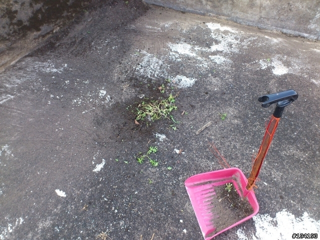 40年老厝屋頂防水DIY-使用得利倍剋漏