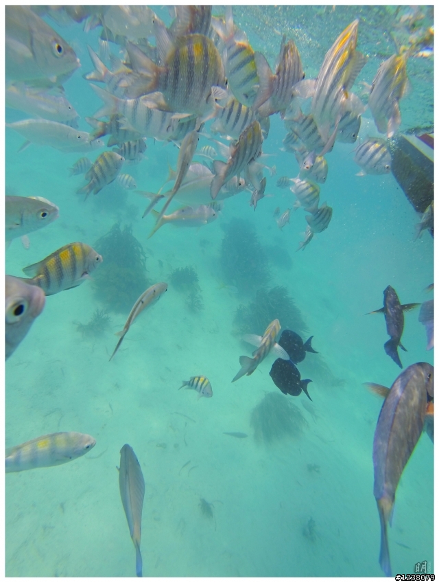 2013 Spring Cancun