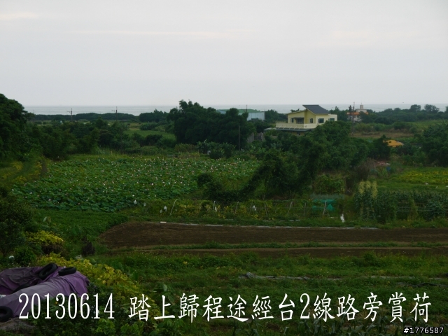 20130614 淡水屯山里賞荷、三芝番婆林花園賞愛情花,三芝牧蜂農莊賞凌宵花之旅