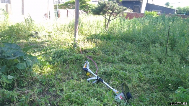 RYOBI 電動割草機開箱
