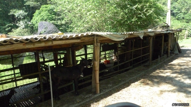 ***姑婆的旅行***行前&Day1~1.5個人騎機車環島~乘著風兒去旅行~