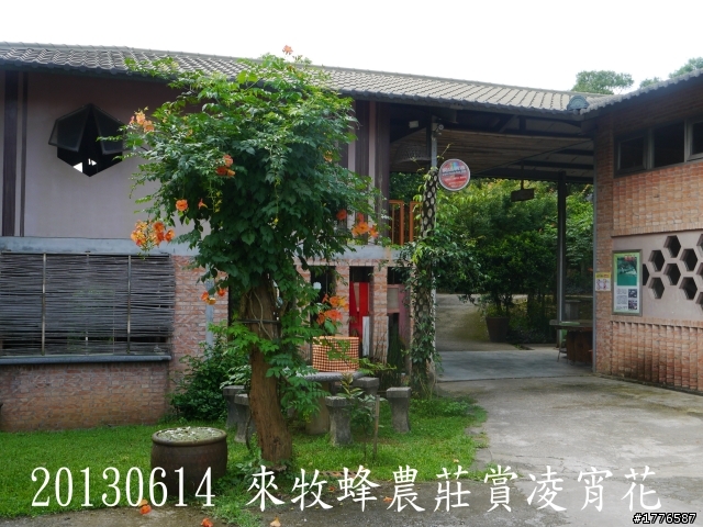 20130614 淡水屯山里賞荷、三芝番婆林花園賞愛情花,三芝牧蜂農莊賞凌宵花之旅