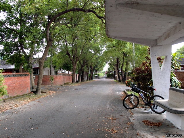 走過一甲子的歷史...光復新村。