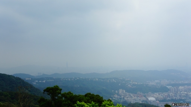 暑假.森林人.陽明山