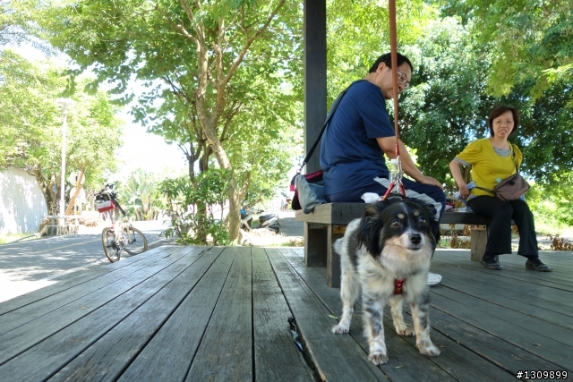2013 ICRT 台中 Bike Day 極短篇