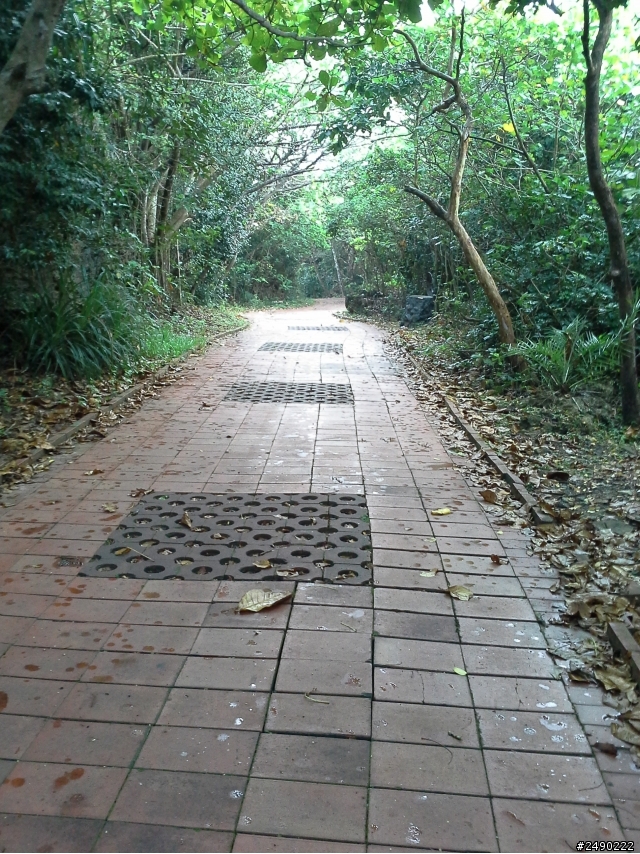 ***姑婆的旅行*** Day5~1.5個人騎機車環島~乘著風兒去旅行~