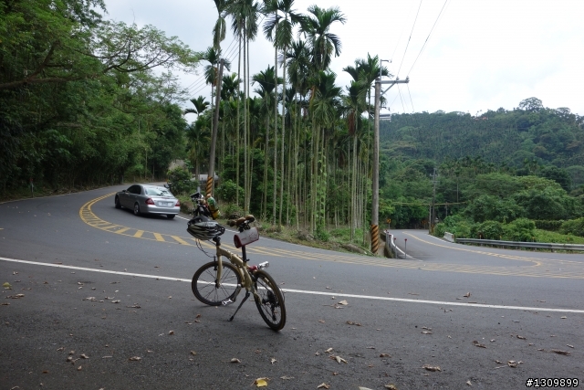 從田野大林到雲端太平,單騎回嘉2百里,