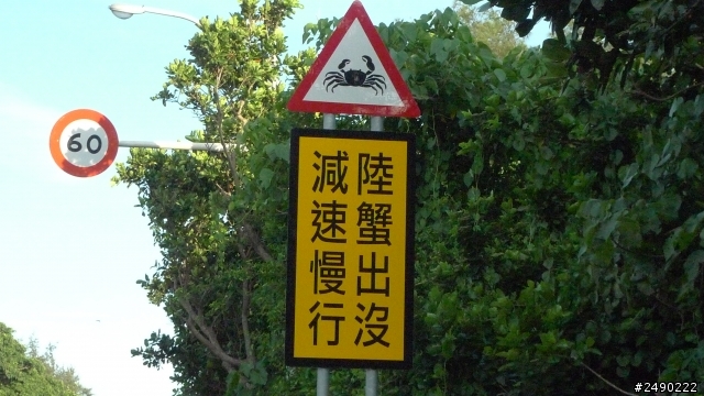 ***姑婆的旅行*** Day4~1.5個人騎機車環島~乘著風兒去旅行~
