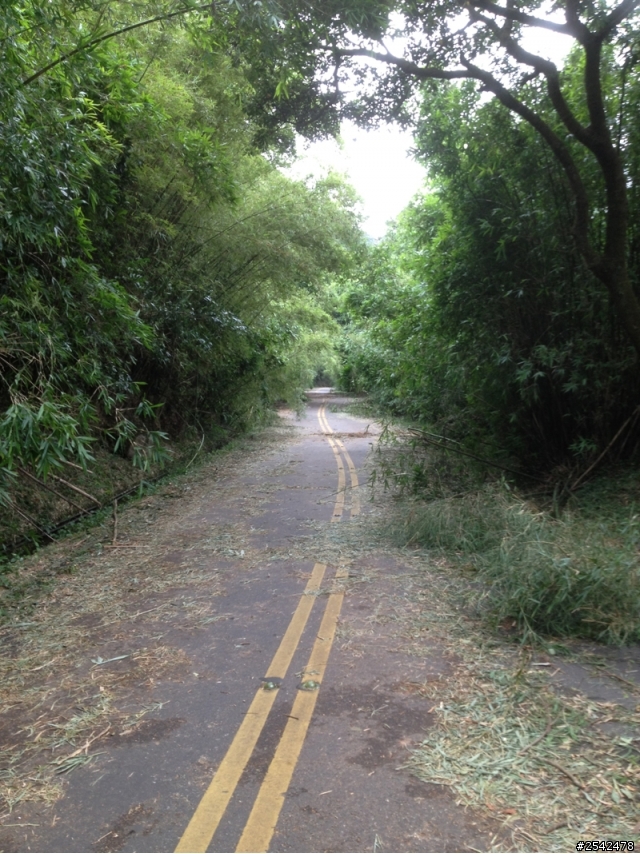 小烏龜挑戰巴拉卡公路