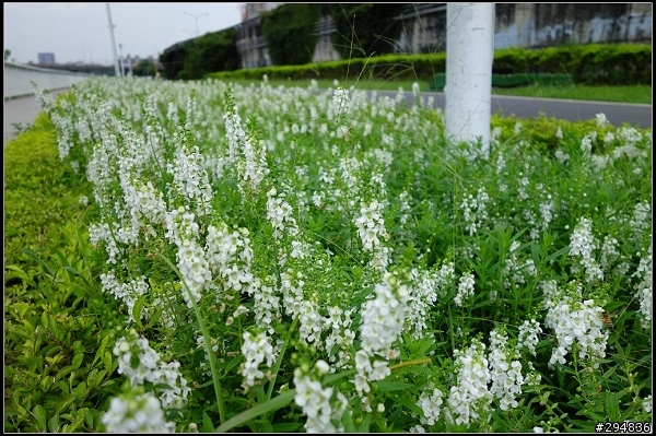 2013.07.21【單車遊記】探索河濱公園 & 環台北自行車道