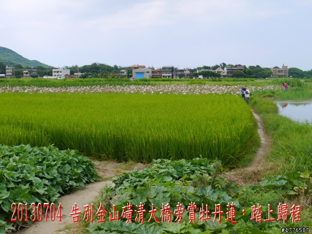 20130704 風櫃嘴燭台雙嶼金山賞牡丹蓮北海一周之旅