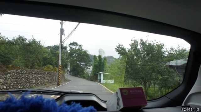 暑假.森林人.陽明山
