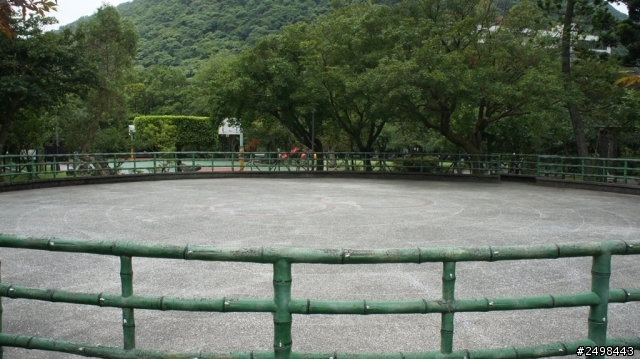 暑假.森林人.陽明山